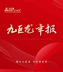 东升国际年报